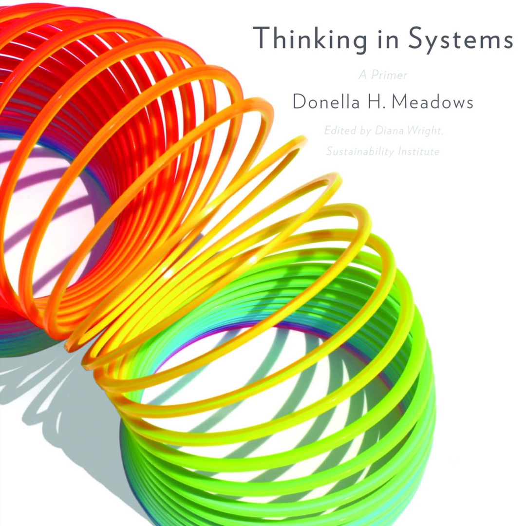 Thinking In Systems The Quixotic Engineer